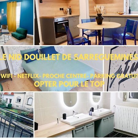 Le Nid Douillet De Sarreguemines Lägenhet Exteriör bild